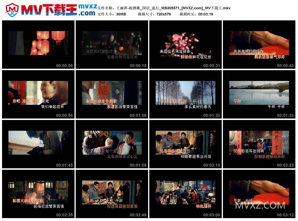 王丽萍-祝酒歌_国语_流行_MB205571